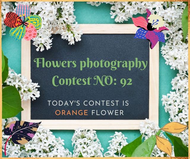 Flowers photography Contest (3).png