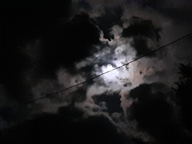 20250509_214756.jpg