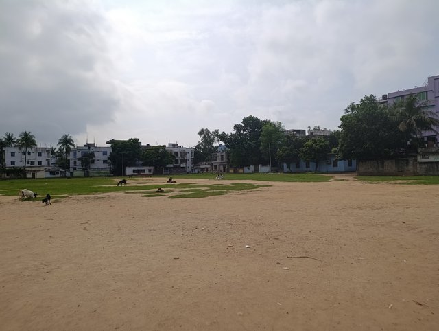 1000006130.jpg