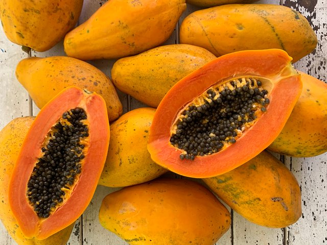 Papaya Steemit.jpg