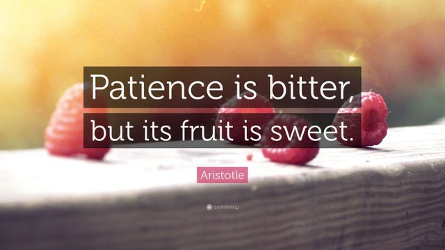 16795-Aristotle-Quote-Patience-is-bitter-but-its-fruit-is-sweet.jpg