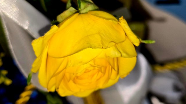 20250512_001946.jpg