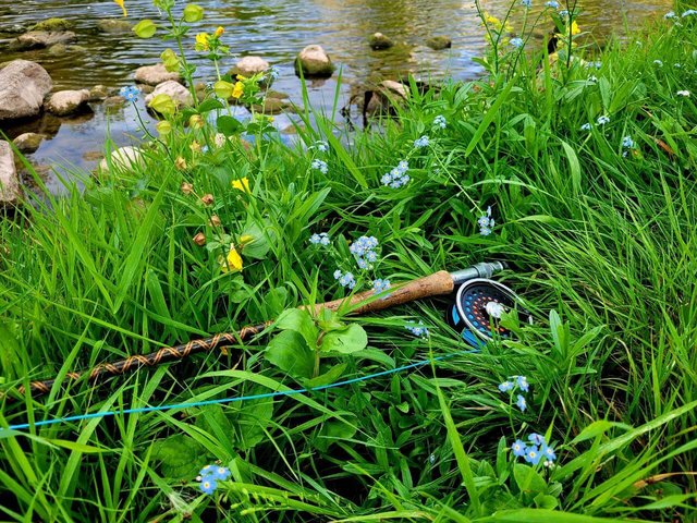 riverbank.jpg