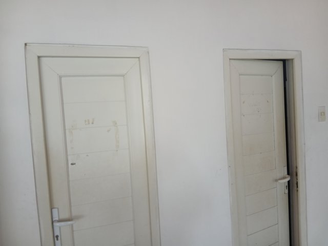 20250428_150155.jpg
