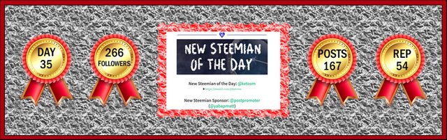 steemit-ketcom-footer-banner-6-10-2018.jpg