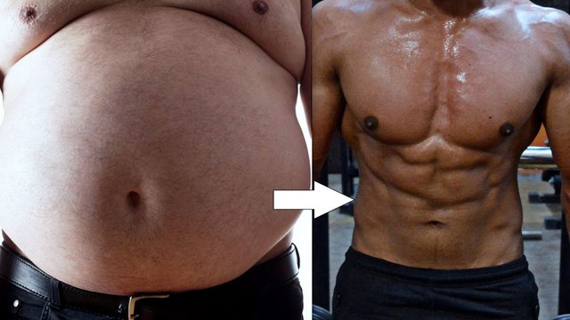 Six Pack Abs - the science, the muscle, and the plan