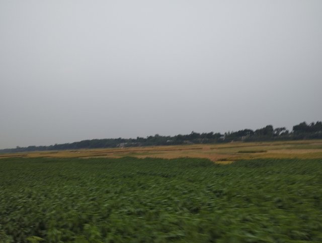 IMG_20230511_182424.jpg