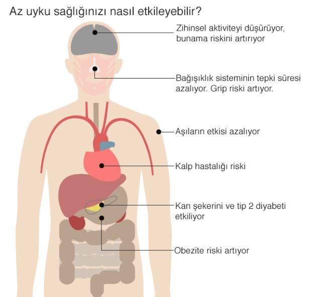 Ekran Alıntısı2.JPG