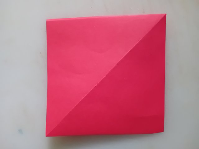 1000042530.jpg