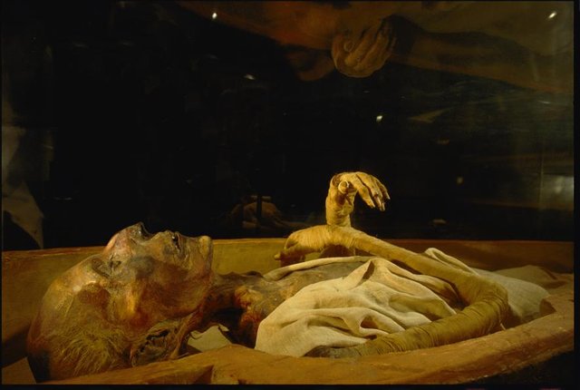 mummy.jpg