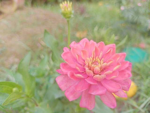 IMG20240522174837.jp