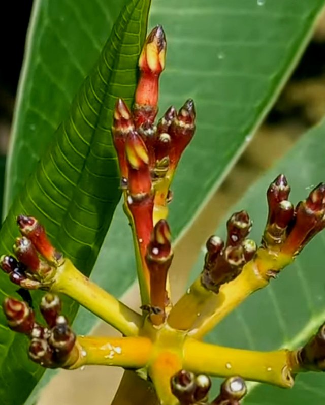 Screenshot_20250514-122206_YouTube.jpg