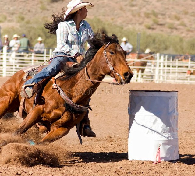 rodeo-barrel-racing-20957648.jpg