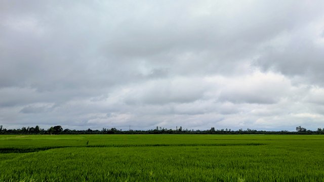 1310.jpg