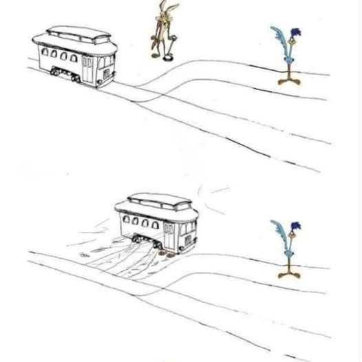 544794143_10161983492603247_7430480399921907752_n.jpg