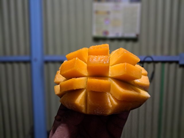 1000033837.jpg