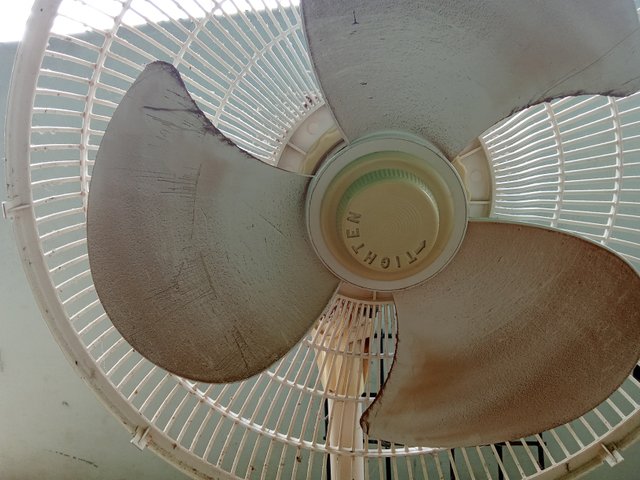 1000258446.jpg