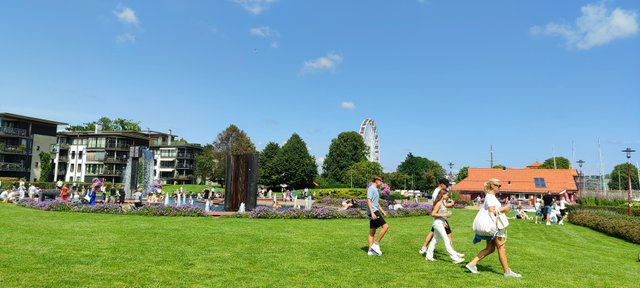 IMG_20250715_143648.jpg