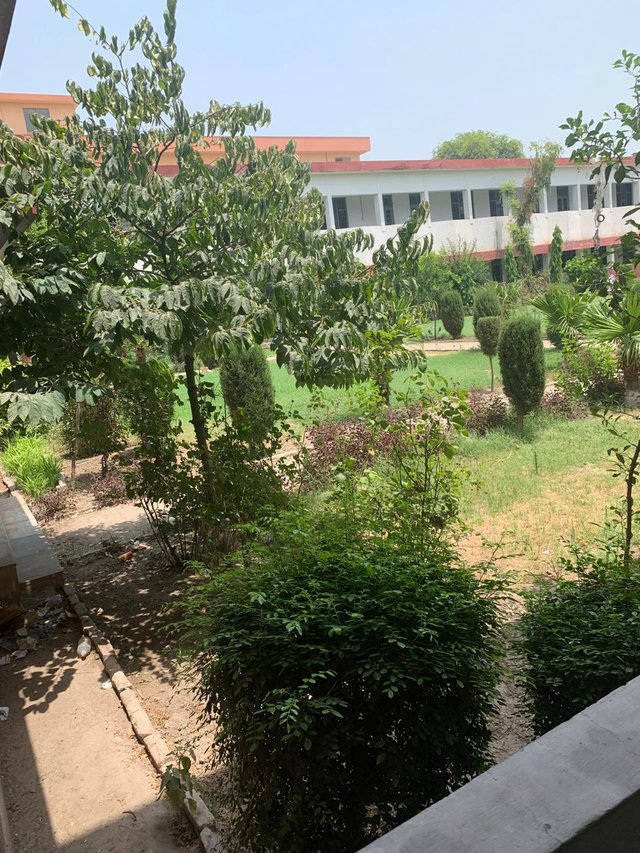 greenery .jpg
