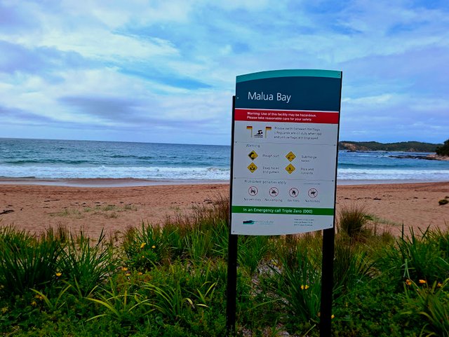 20251006_105042.jpg