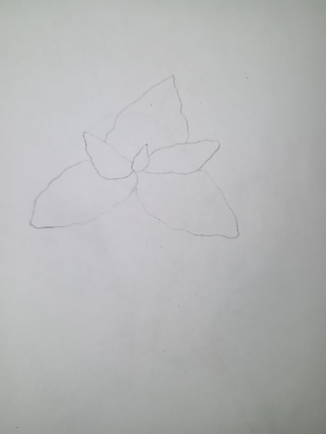 1000081223.jpg