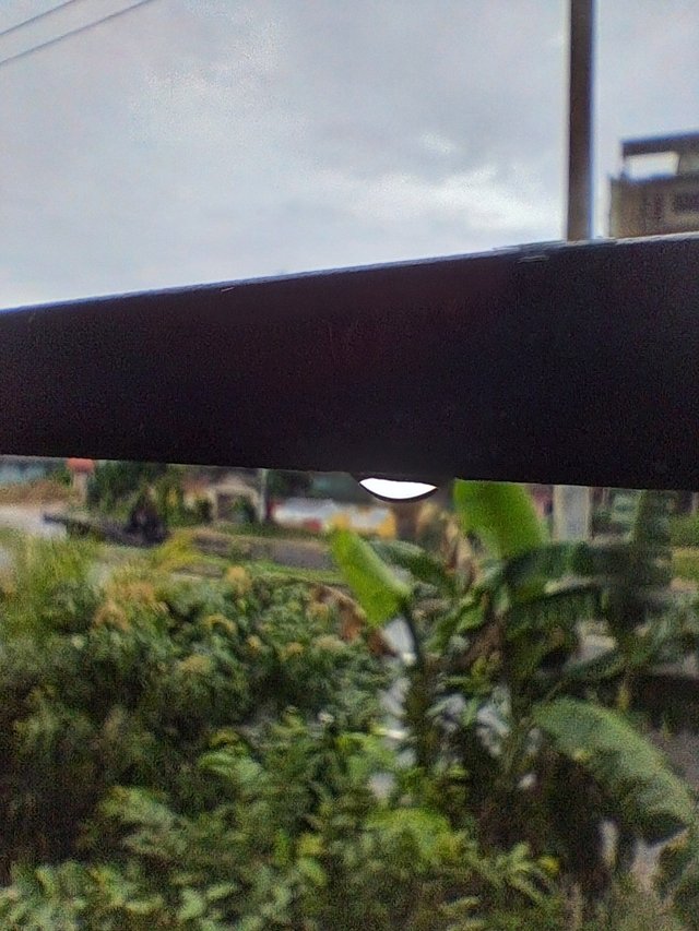 20250528_142433.jpg
