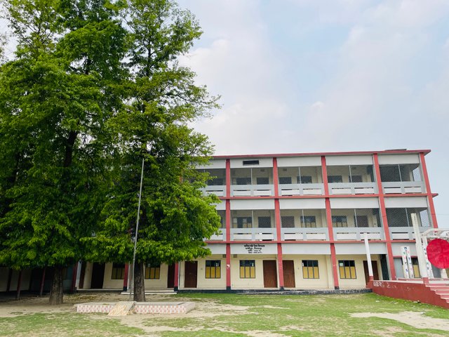 IMG_1271.jpeg