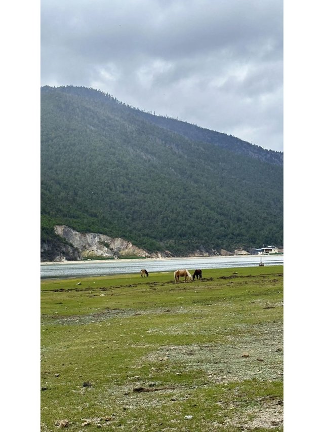 实话确实难听，但这就是云南旅游真实现状_1.jpg