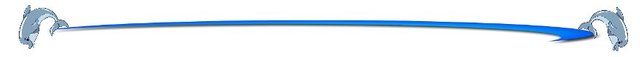 divider (2).jpg