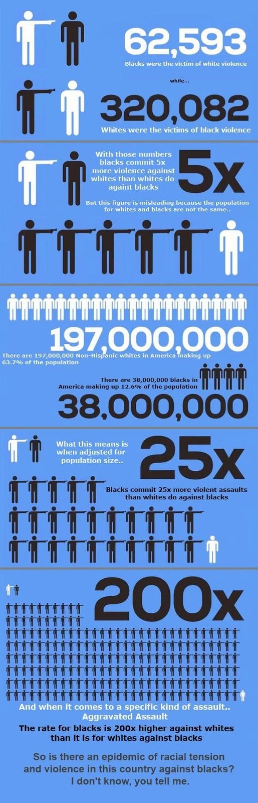 RACIAL CRIME STATISTICS (1).jpg