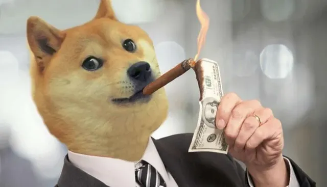 dogecoin-logo-e1626544099260-750x430.jpg.webp