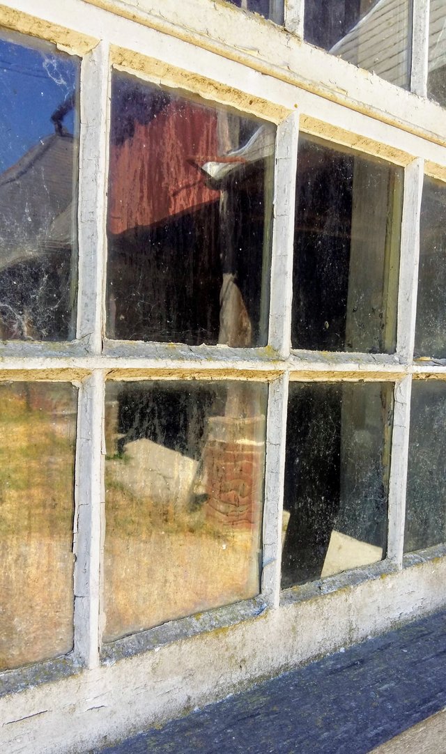 saddlescombe  farm barn window.jpg