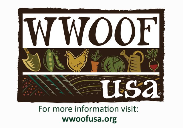 WWOOF_Logo-w-website_white.jpg