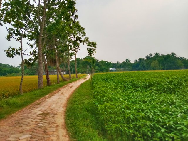 IMG_20250506_193801.jpg