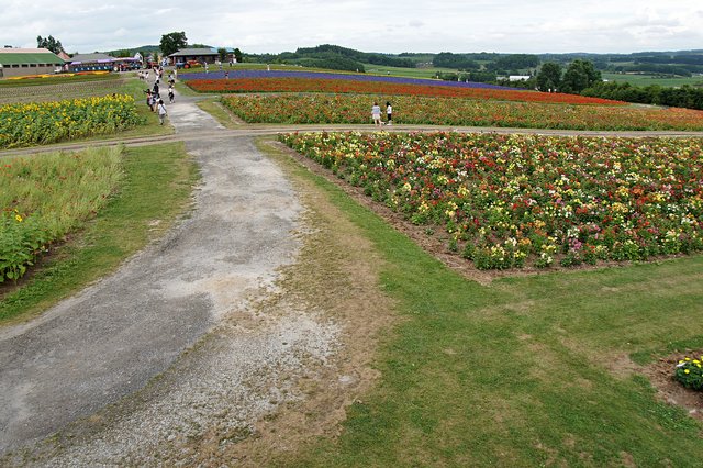 Japan-Hokkaido12802-1203.jpg