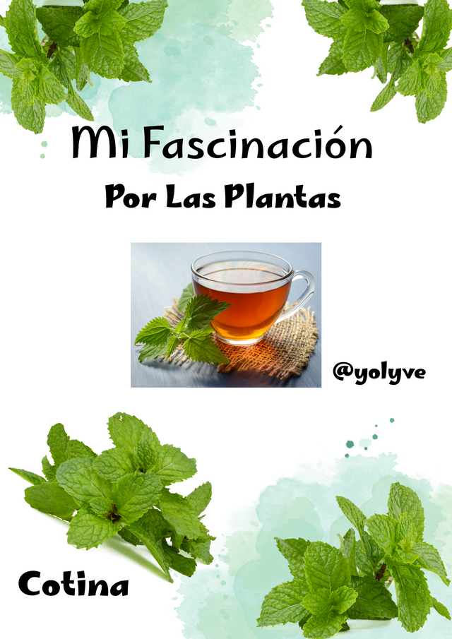 Flyer poster frase emprendimientos organico verde blanco_20250518_011729_0000.png