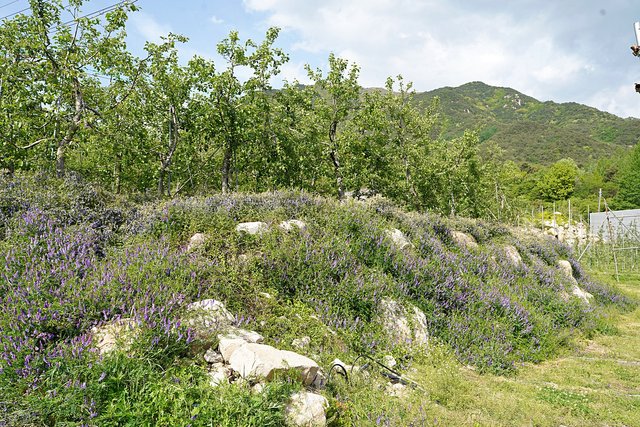 b-DSC09270.JPG