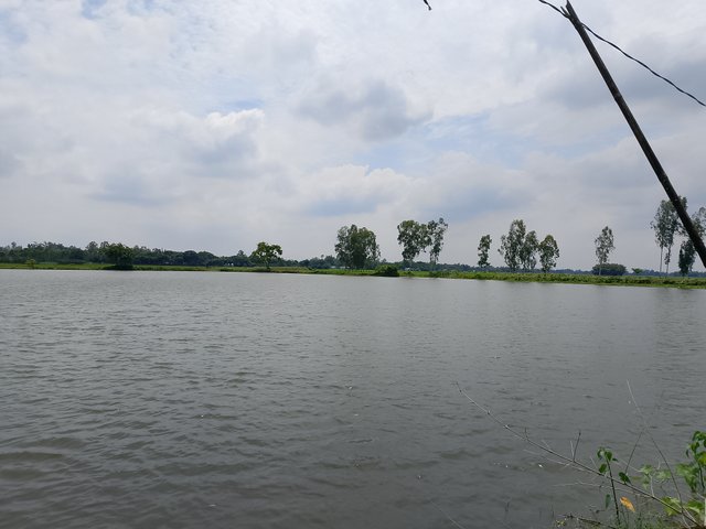 1000047800.jpg
