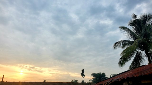20250619_064027.jpg