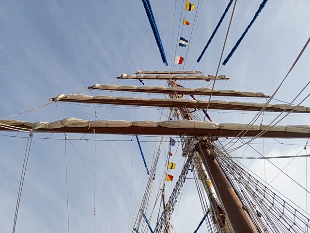 IMG_20250907_165528_800.jpg