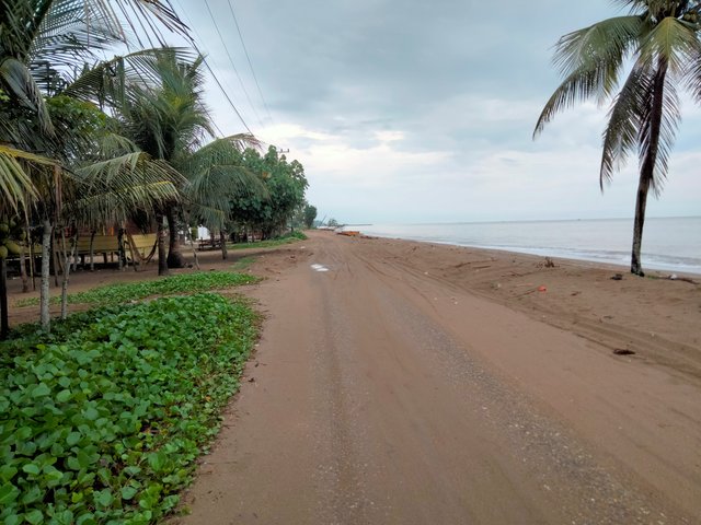 IMG20251016071438.jpg