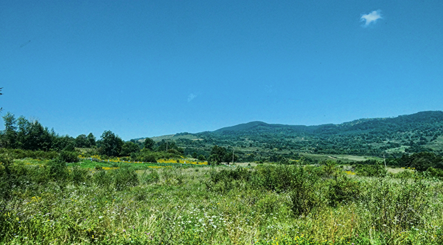 Képernyőkép_2018-08-16_11-20-29.png