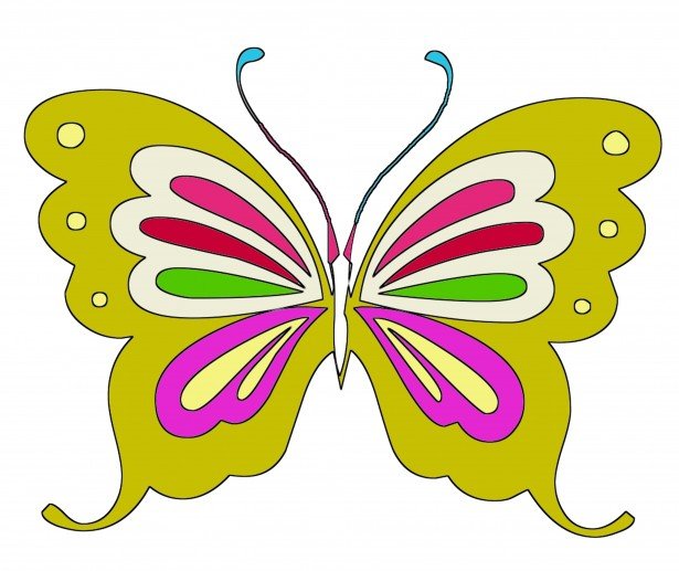 color-butterfly-13960639731Wu.jpg