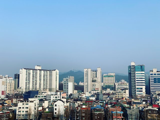 미세먼지