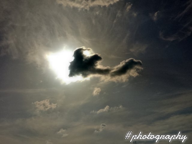 FotoGrid_20250820_165201117.jpg