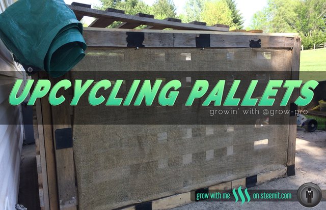 upcycle-pallets-with-grow-pro.jpg