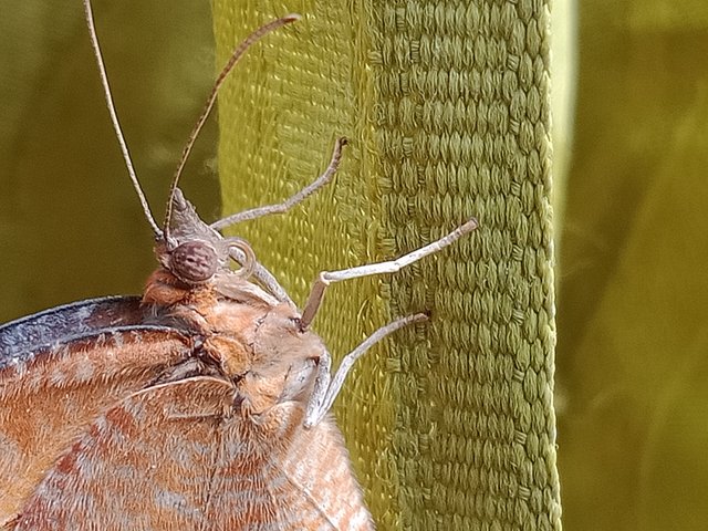 IMG20250405155608.jpg