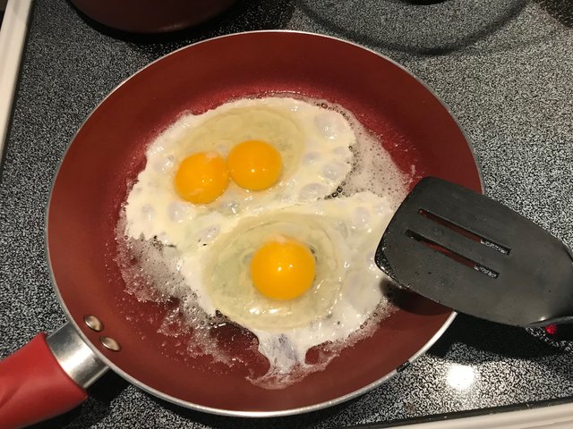 eggs.jpg