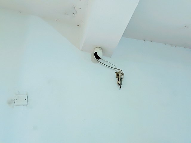 1000045605.jpg
