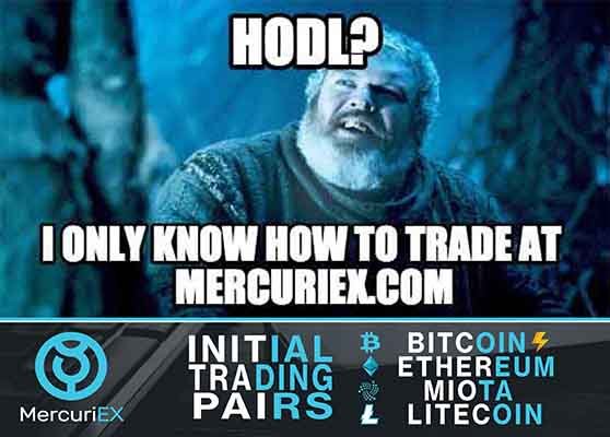 1 day 2 hodlmeme d12 a .jpg